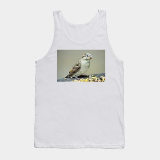 Sparrow Tank Top